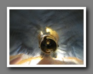 [Click to enlarge image]